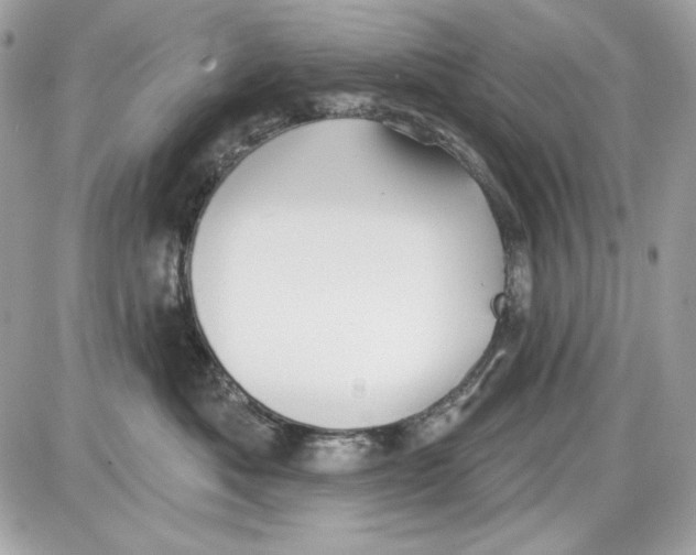 X0000087410525200705111854