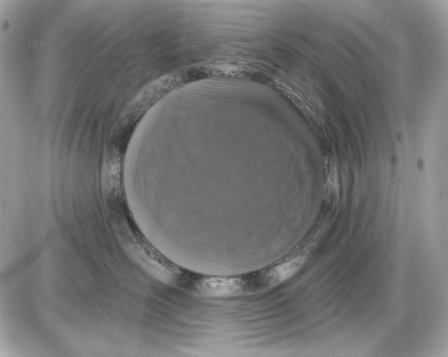 X0000087410526200705111854