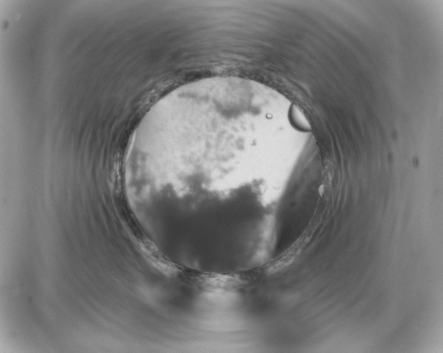 X0000087410527200705111854