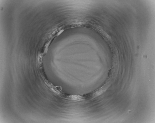 X0000087410528200705111854