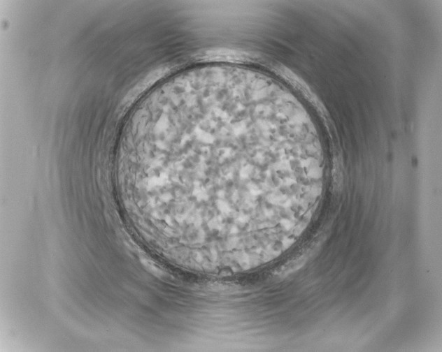 X0000087410529200705111853