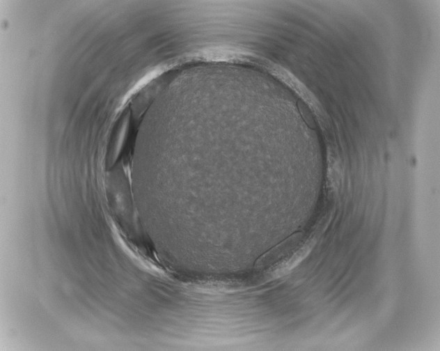 X0000087410530200705111853