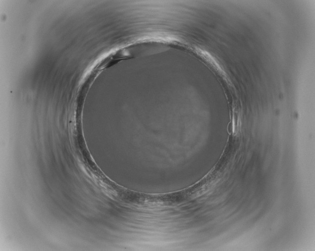 X0000087410531200705111853