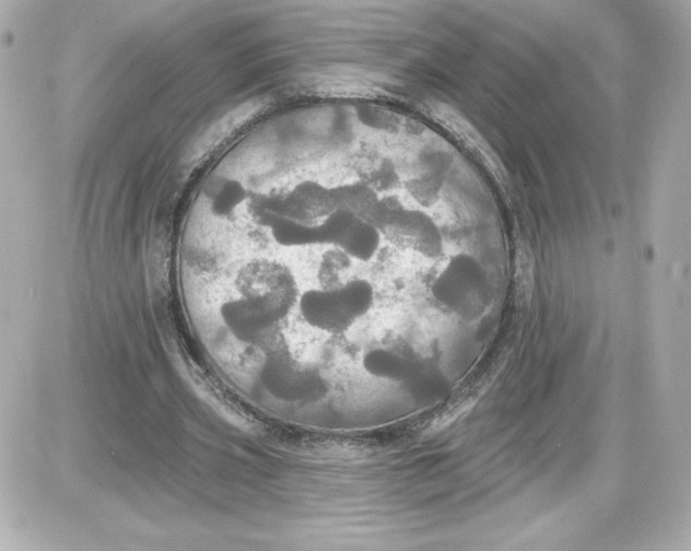 X0000087410533200705111853