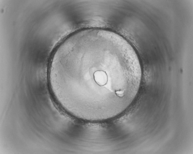 X0000087410534200705111853