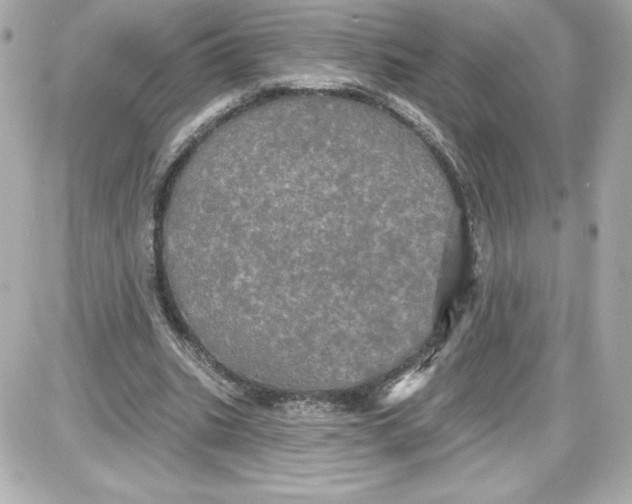 X0000087410535200705111853