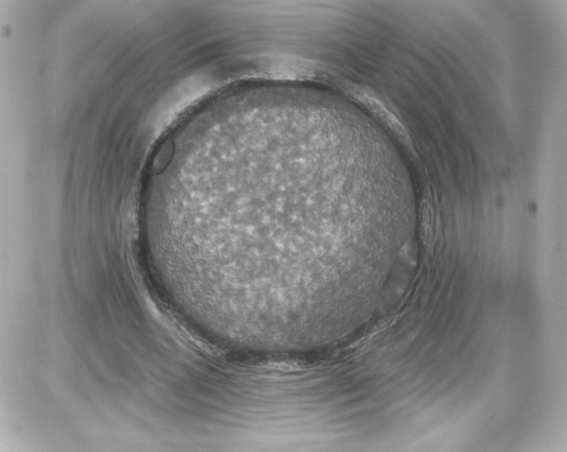 X0000087410536200705111853