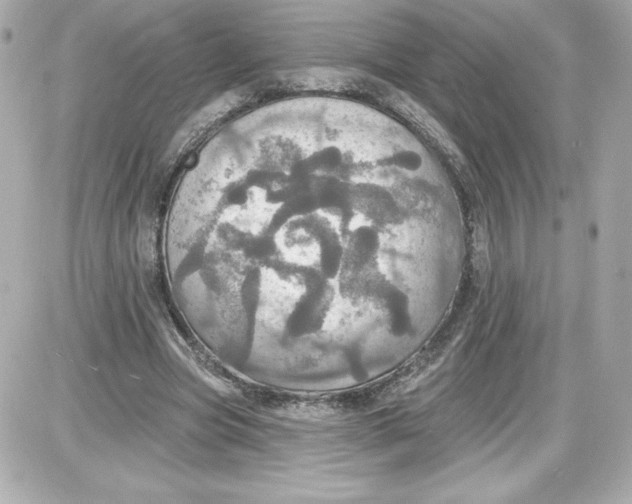 X0000087410537200705111854