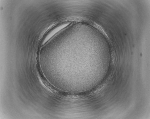 X0000087410538200705111854