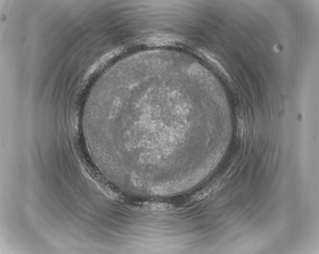 X0000087410539200705111854