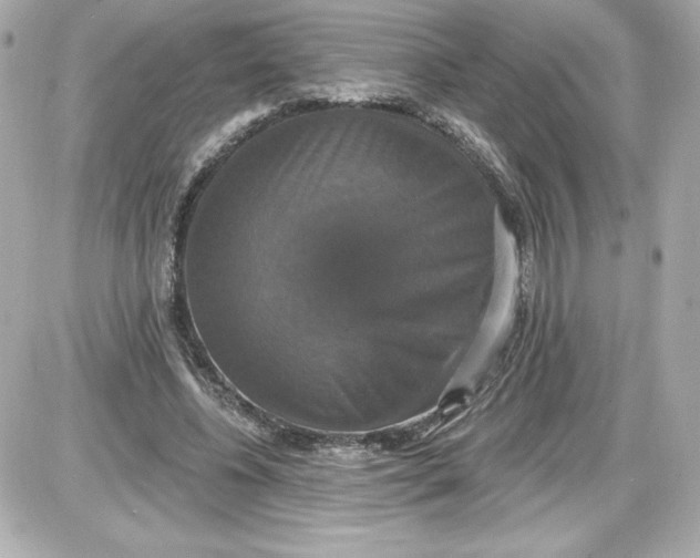 X0000087410540200705111854