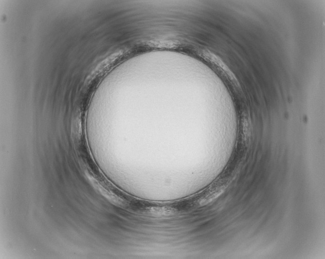 X0000087410541200705111854