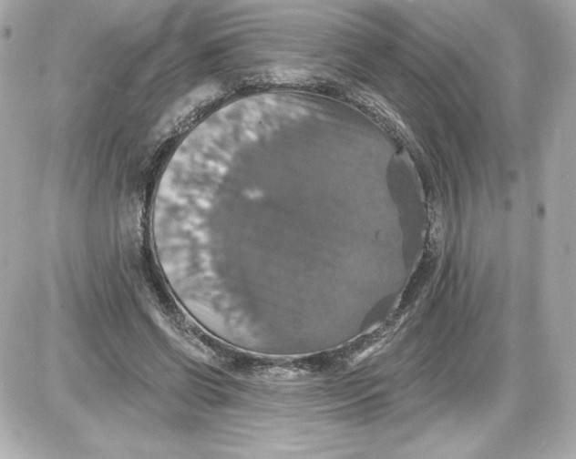 X0000087410542200705111854