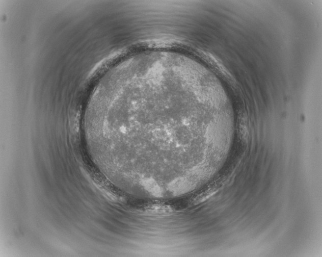 X0000087410543200705111854