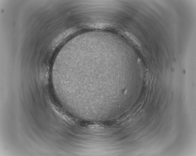 X0000087410544200705111854