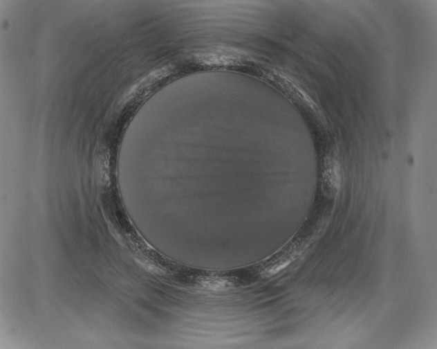 X0000087410547200705111854