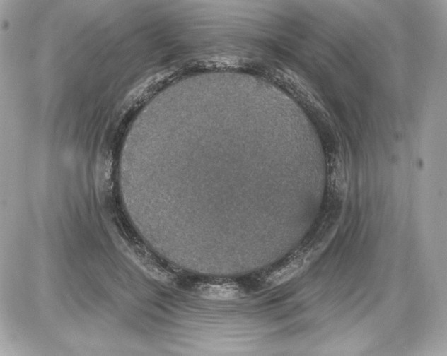 X0000087410548200705111854