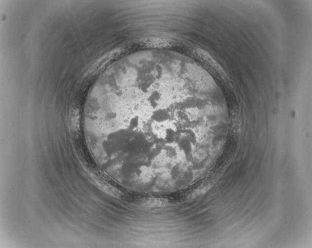 X0000087410549200705111854