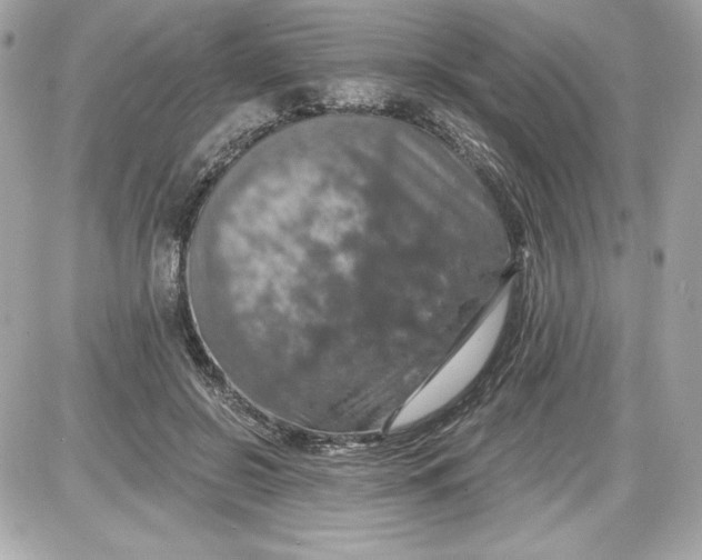 X0000087410550200705111854