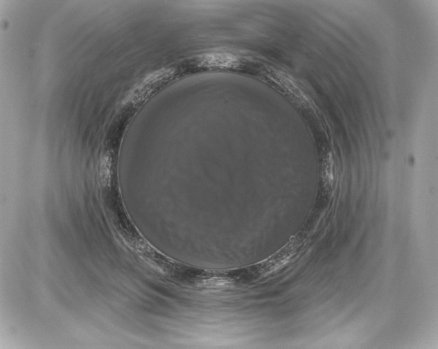 X0000087410551200705111854