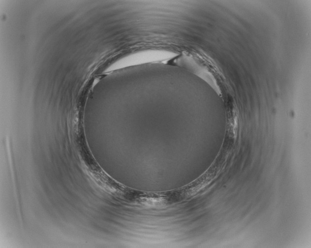 X0000087410552200705111854