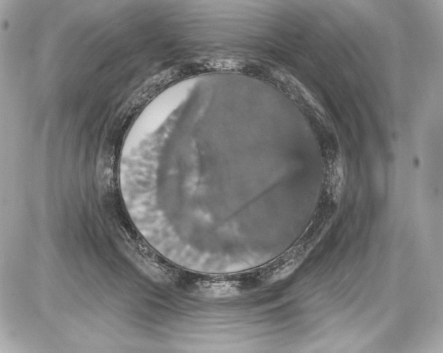 X0000087410553200705111854