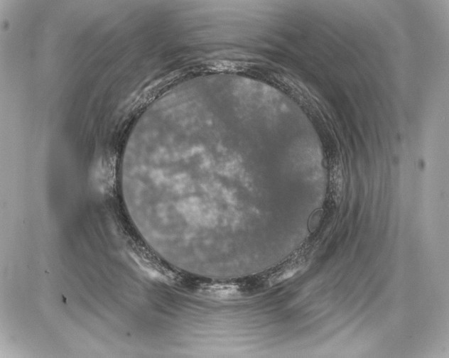 X0000087410554200705111854