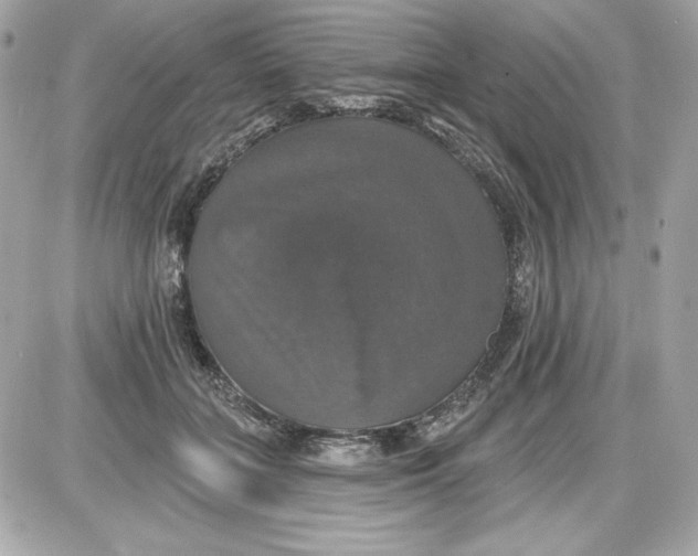 X0000087410555200705111854