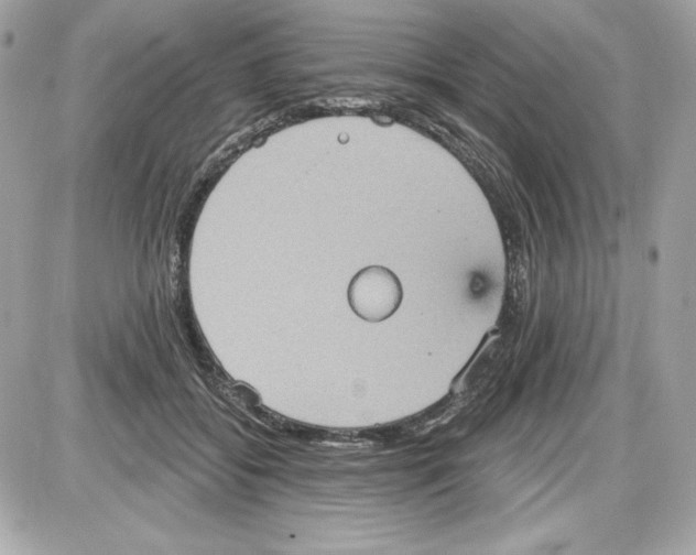 X0000087410556200705111854