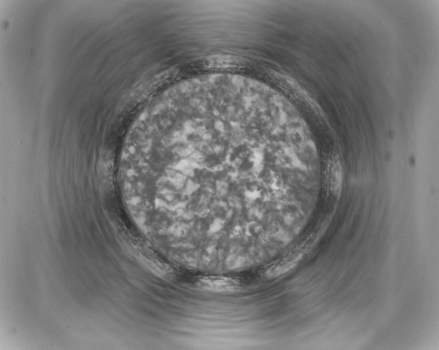 X0000087410557200705111854