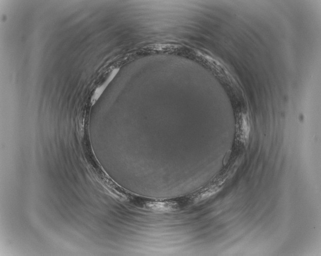 X0000087410558200705111854