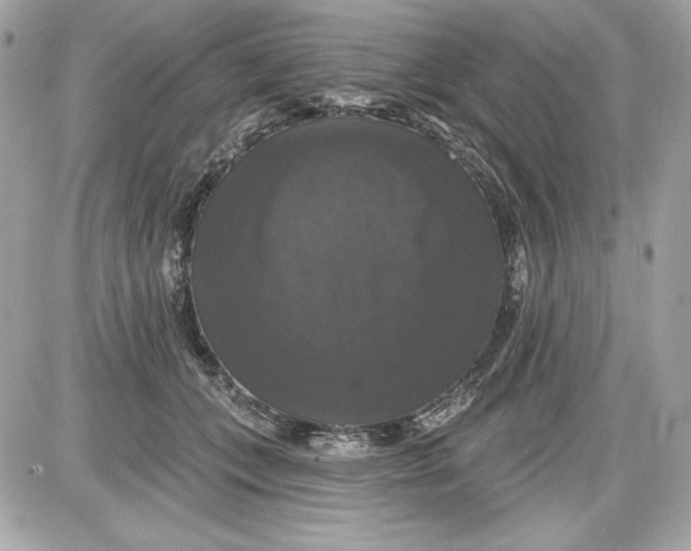 X0000087410559200705111854