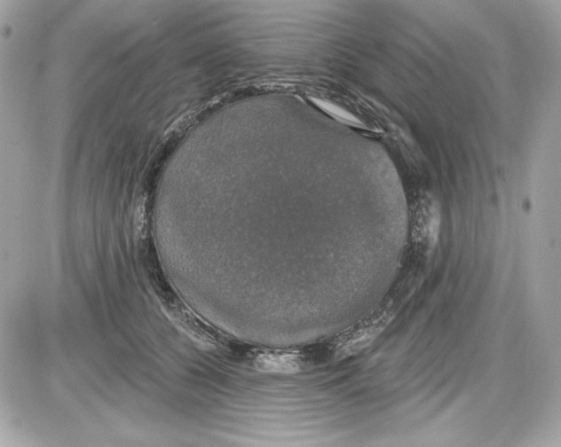 X0000087410560200705111854