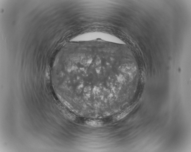 X0000087410561200705111854