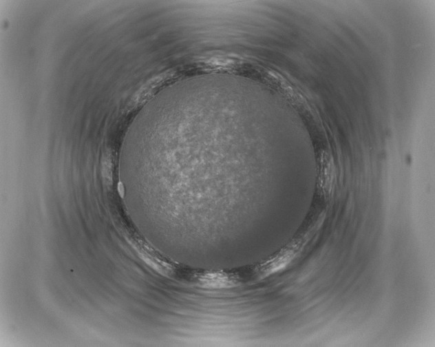 X0000087410562200705111854