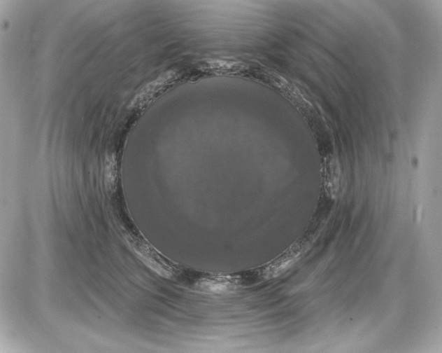 X0000087410563200705111854