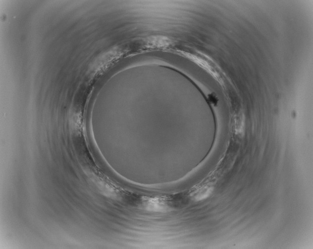 X0000087410564200705111854