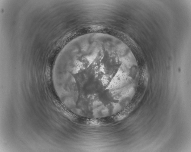 X0000087410565200705111854