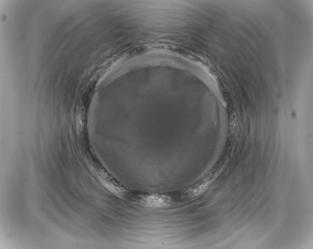 X0000087410566200705111854