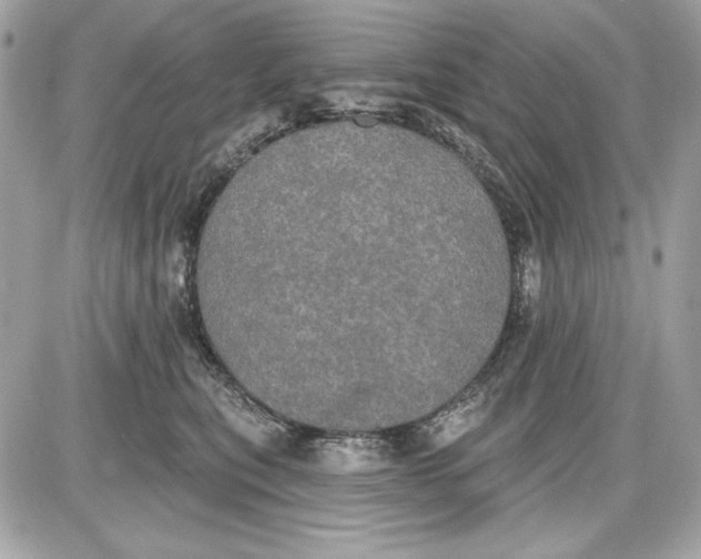 X0000087410567200705111854