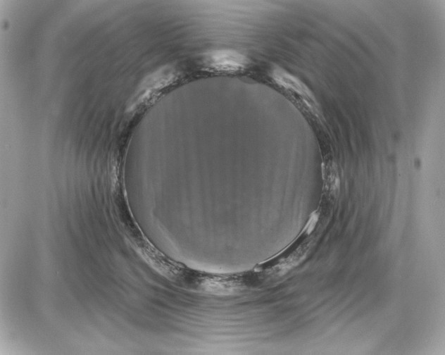 X0000087410568200705111854