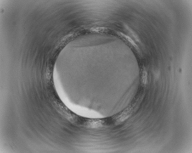 X0000087410569200705111854