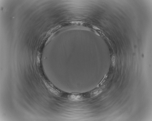 X0000087410570200705111854