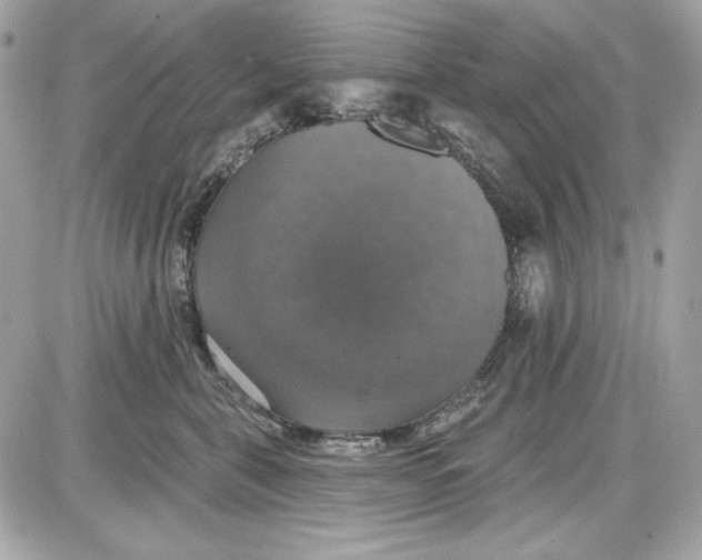 X0000087410571200705111854