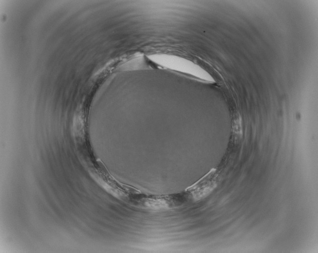 X0000087410572200705111854