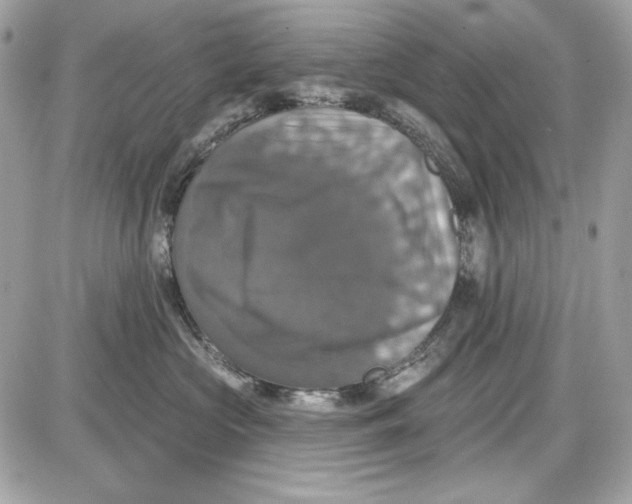 X0000087410573200705111854