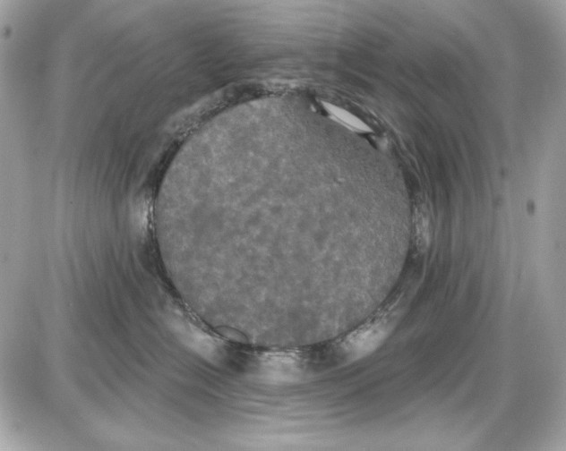 X0000087410574200705111854