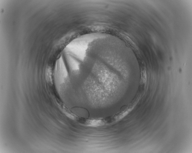 X0000087410575200705111854