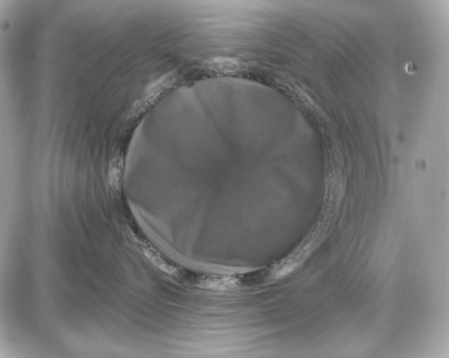 X0000087410576200705111854