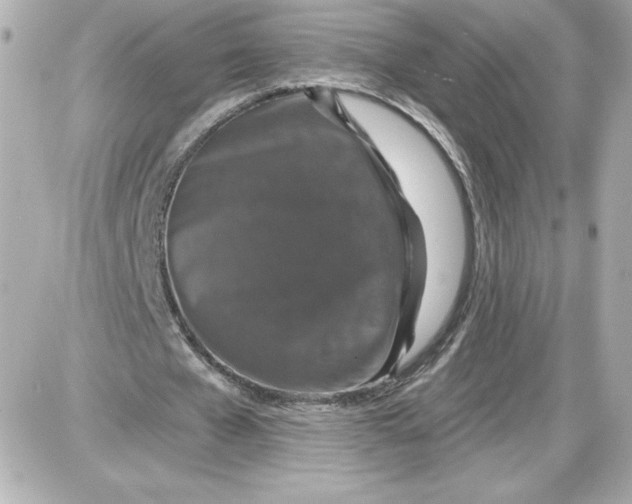 X0000087410577200705111853